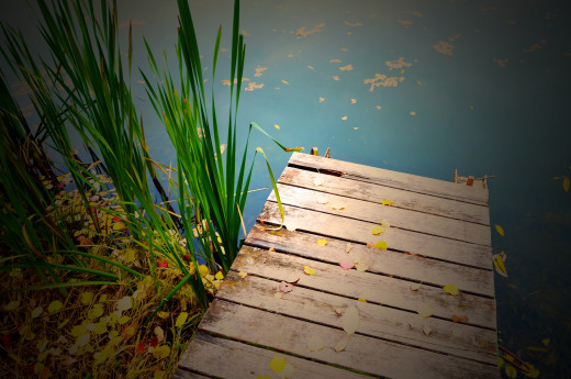 876623 (a): :2560x1696